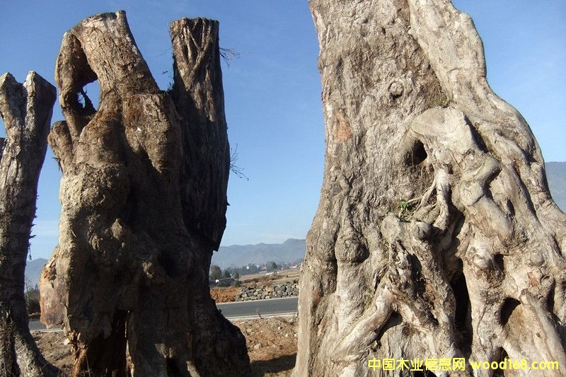 �ľ��Ԕ��(x��)��B