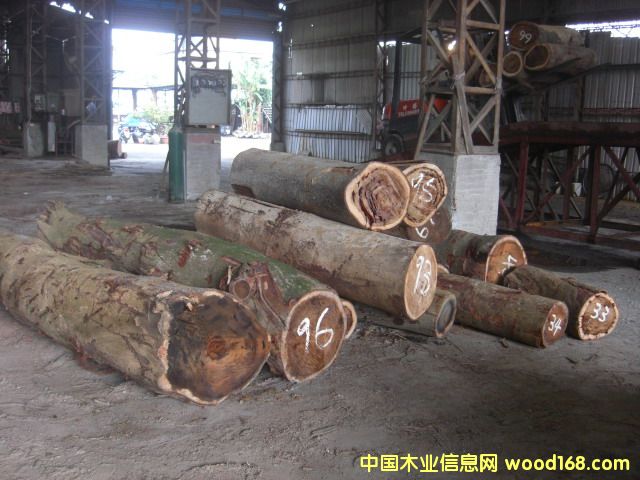 �_����˼ľ���вĵ�Ԕ��(x��)��B