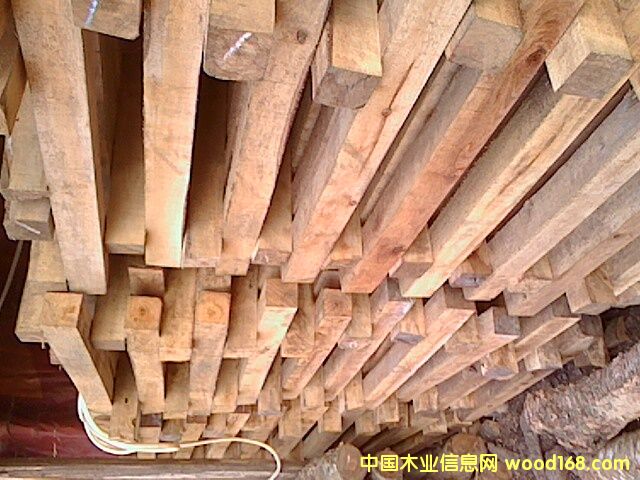 ��ľ���l��Ԕ����B