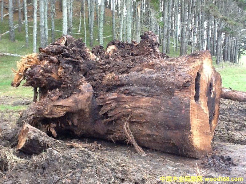 �����mؐ��ɼ��(sh��)����Ԕ��(x��)��B