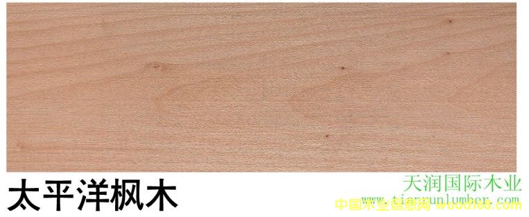 ̫ƽ���ľ��Ԕ��(x��)��B