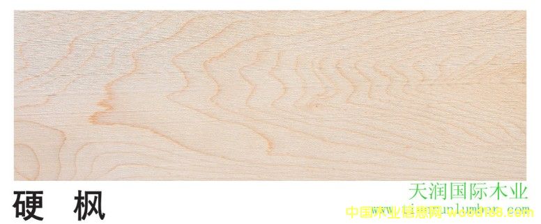 Ӳ����Ԕ��(x��)��B