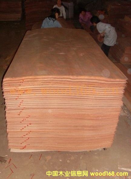 �һ�����Ƥ��Ԕ����B