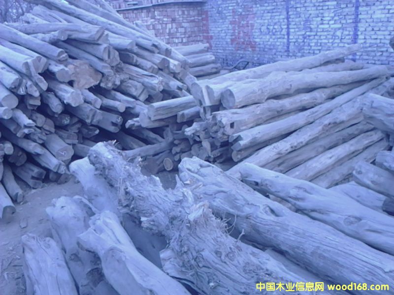 �ӱ�̫��ɽ�°�ľ��Ԕ����B