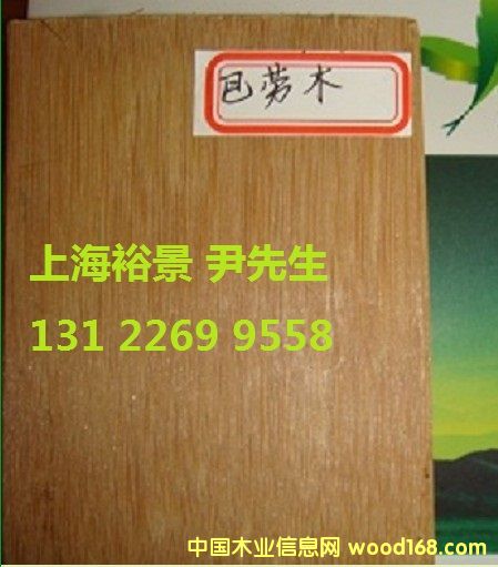 �̈́�ľ��Ԕ��(x��)��B