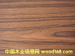 E.V��֦-806c��Ԕ��(x��)��B