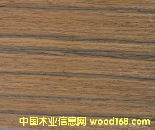 E.V��֦-826��Ԕ��(x��)��B