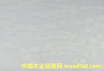 E.V��؈��-990