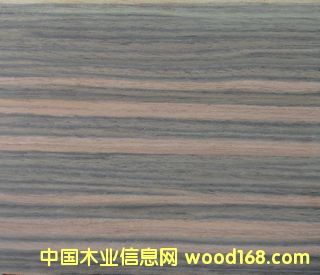 E.Vӡ���̴-080