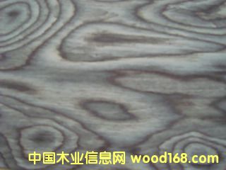 E.V�\�Ҙ��-906