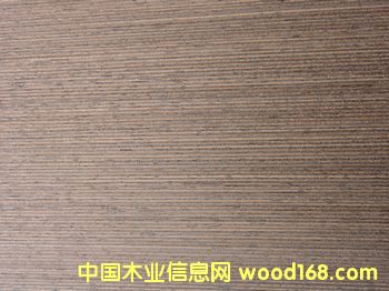 E.V�F��RIV-101��Ԕ��(x��)��B