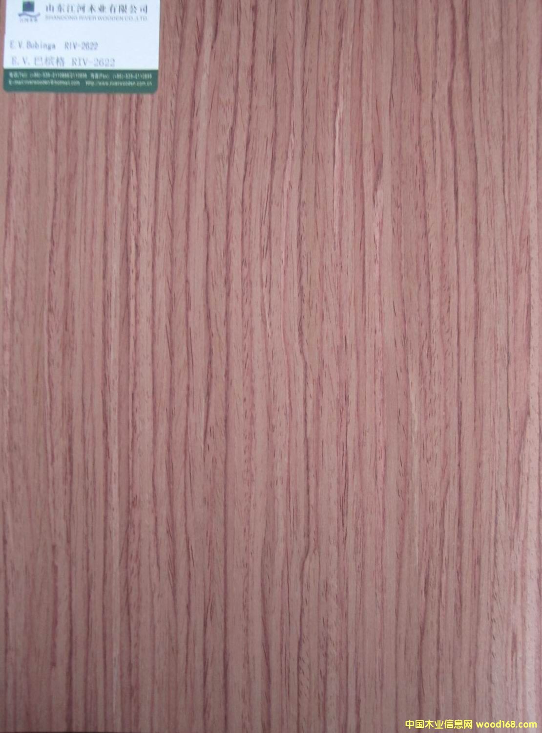 E.V���e��-2622