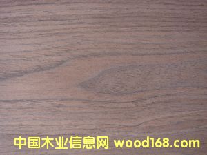 E.V�ں���-202c