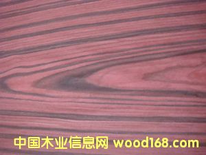 E.V�Wʽ��֦-802c