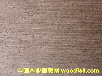 E.V�F��RIV-145��Ԕ��(x��)��B