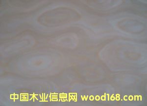 E.V������-904