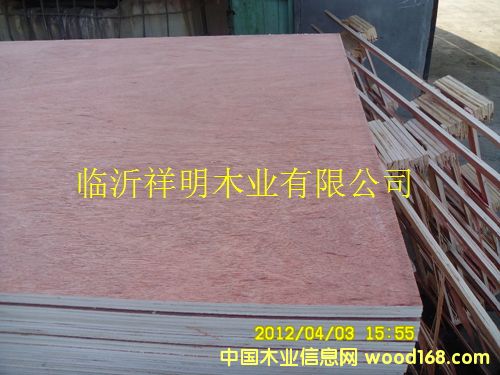 ���ϰ�9����b��W�������