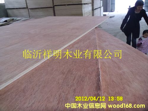 [��] �z�ϰ�15����b���бP��