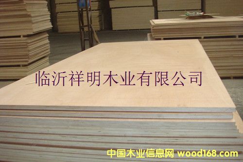 [��] �z�ϰ�12����b���бP(p��n)��Ҿ߰�