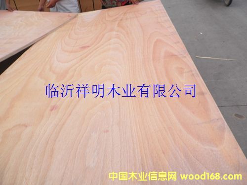 [��] �z�ϰ�12����b���бP(p��n)��Ҿ߰�