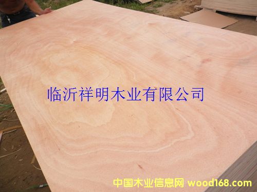 �z�ϰ�8����b��