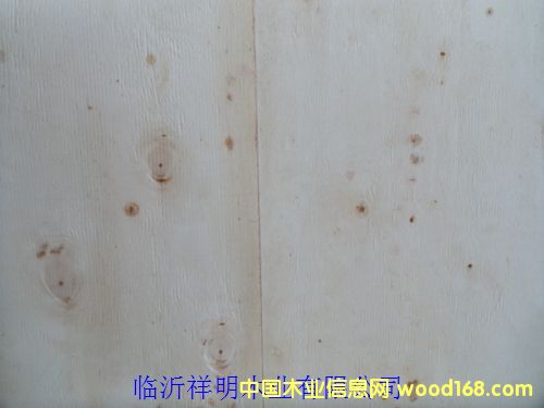 �z�ϰ�6����b���бP�����о