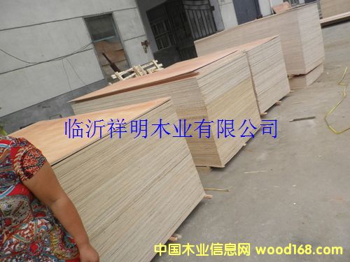 �z�ϰ�8����b��