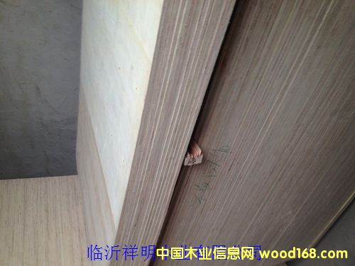 �z�ϰ�5����b���бP��Ԕ��(x��)��B