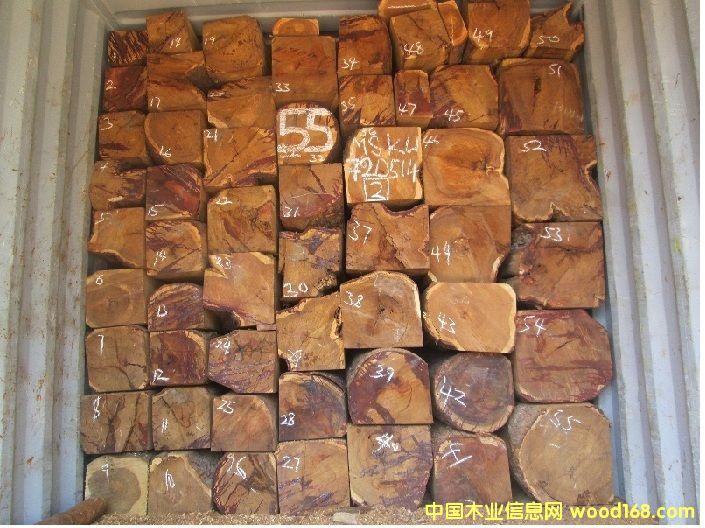 �������Ԕ����B