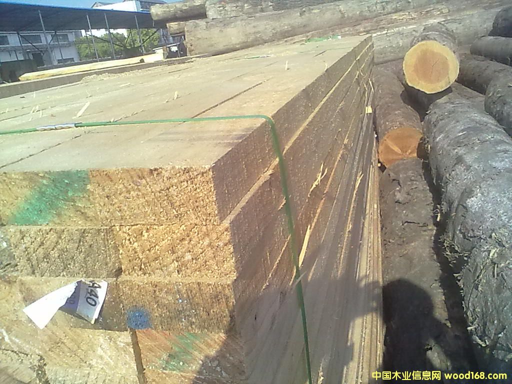 ݗ���ɽ���ľ����Ԕ����B