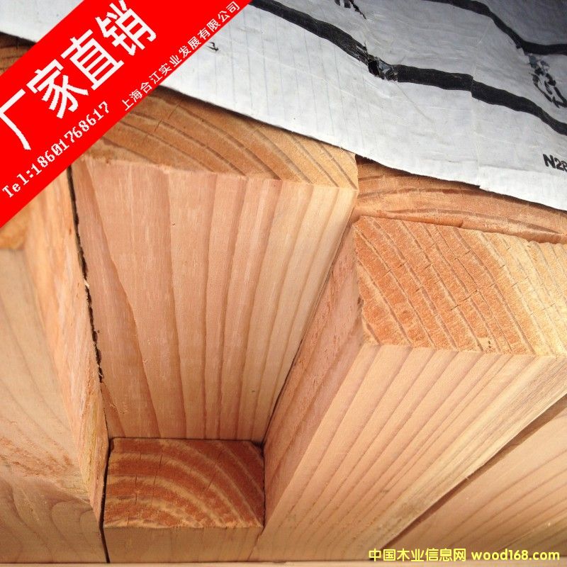 花旗松的詳細(xì)介紹