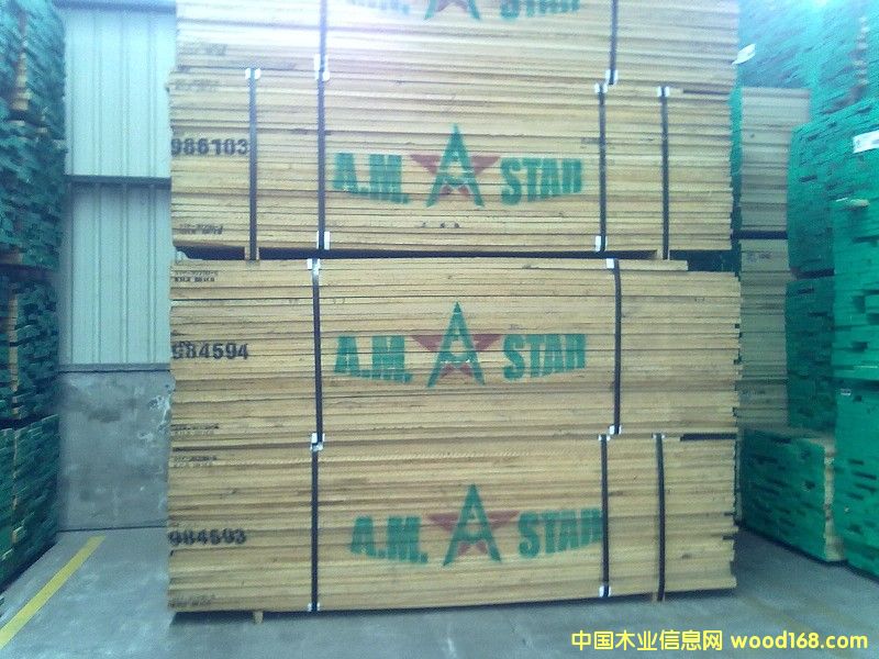 �c���鿴����ľ�Ŵ�DƬ