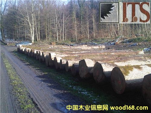 ˮ����ԭľ��Ԕ����B