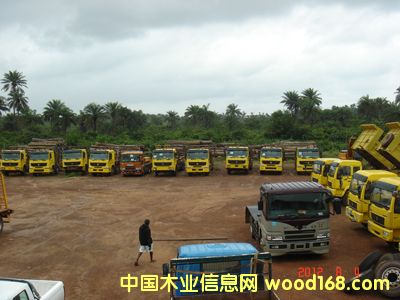 ����ԭľ �ш����I(y��)��Ԕ����B