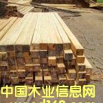 ���~��ľ����Ԕ����B