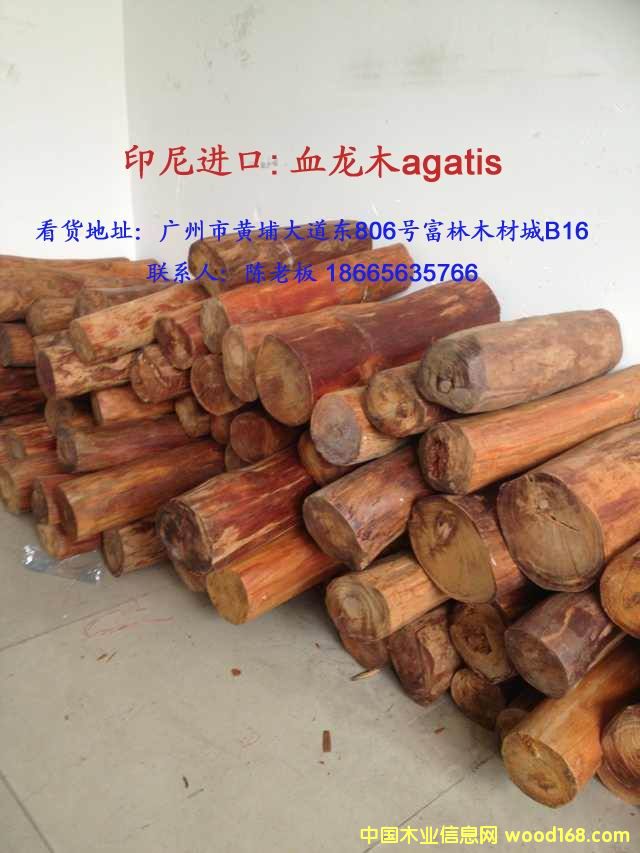 Ѫ��ľ��Ԕ��(x��)��B