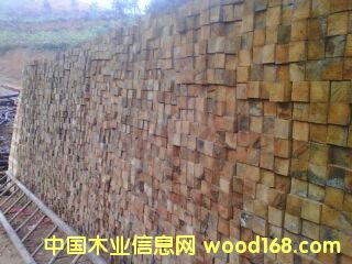 �׿��ϵ�Ԕ����B