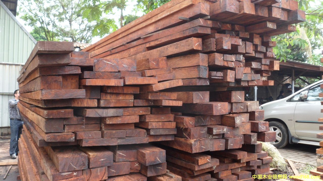 ���޲��}���Ԕ��(x��)��B