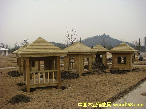 �e��6��Ԕ��(x��)��B