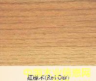 �t��ľ��Ԕ��(x��)��B