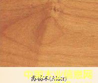 ����ľ��Ԕ��(x��)��B