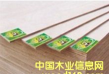 �o(w��)��ȩ�z��ľ���\(ch��ng)��ȫ��(gu��)��������Ԕ��(x��)��B