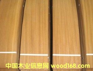 ��ľ����Ԕ��(x��)��B