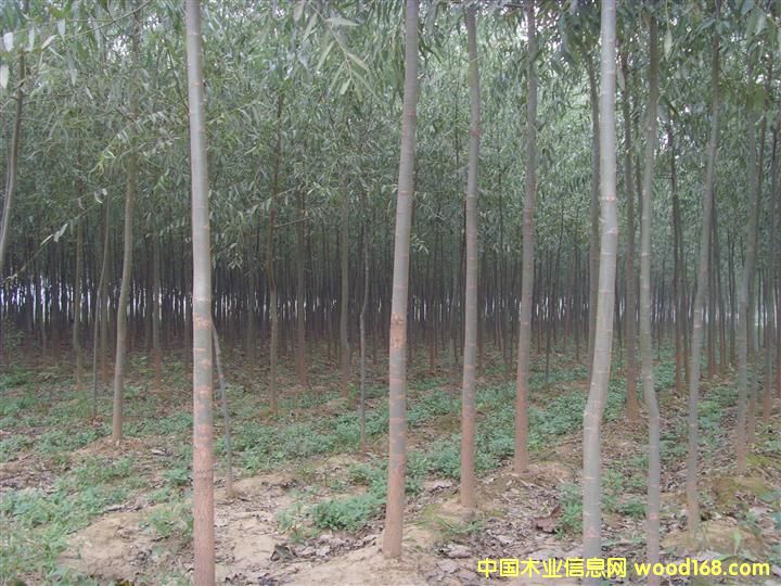 �ؑc����(gu��)������ �_ƽ����(gu��)������ �Ƹ�����(gu��)�����繩��(y��ng)