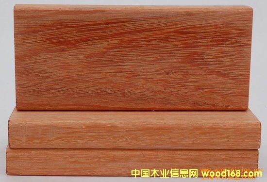 �c���鿴����˹�Ŵ�DƬ