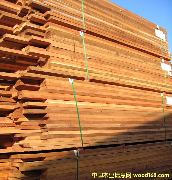 �c(di��n)���鿴�tѩ�ɷŴ�DƬ