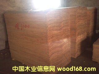 �c(di��n)���鿴ݗ������Ƥ�Ŵ�DƬ