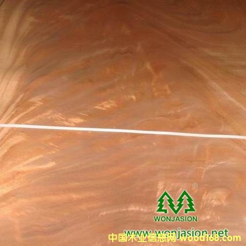 �һ�о��Ԕ��(x��)��B