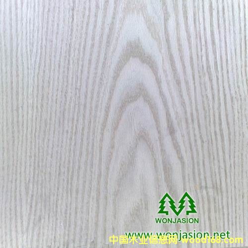 白橡的詳細(xì)介紹