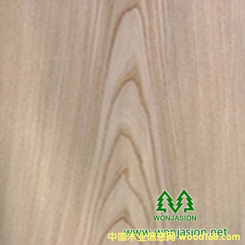 ����Ȼ��ľľƤ��Ԕ��(x��)��B